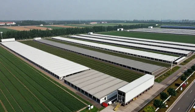 运输环境：冷链运输选型关注点分析