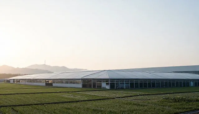 冷链运输如何通过智能化管理提升效率